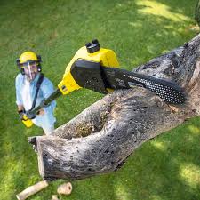 Best Aeration Services  in Wink, TX